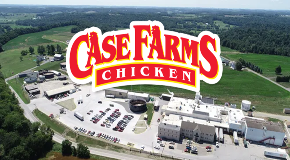 Case Farms 프로젝트 이미지